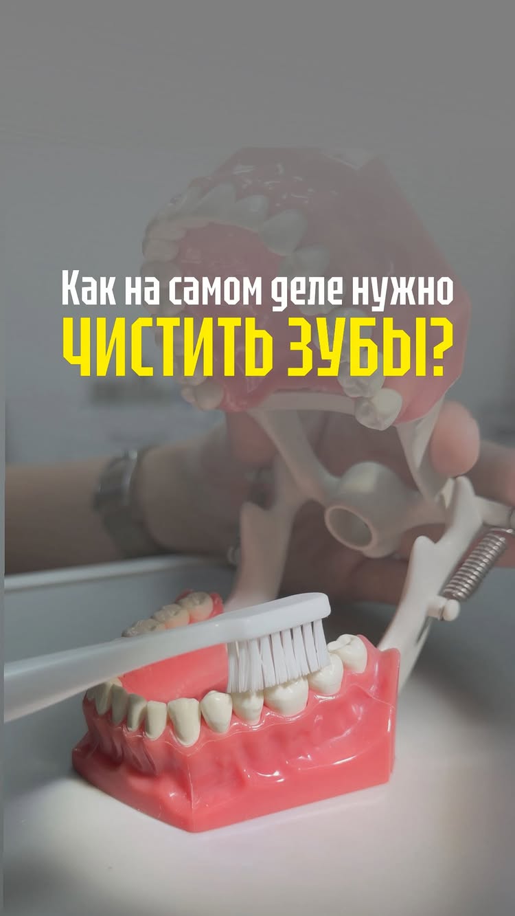 Как чистить зубы правильно